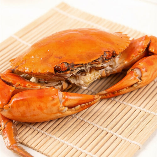 Fresh whole mud crab with large claws (1)